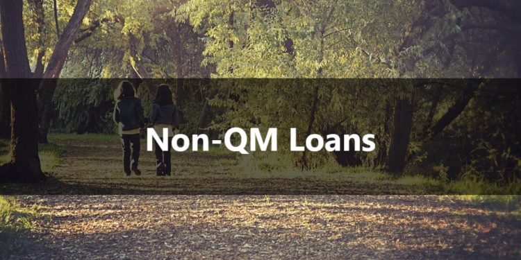 Non-Qualified Mortgage (Non-QM Loans) Portfolio Loans